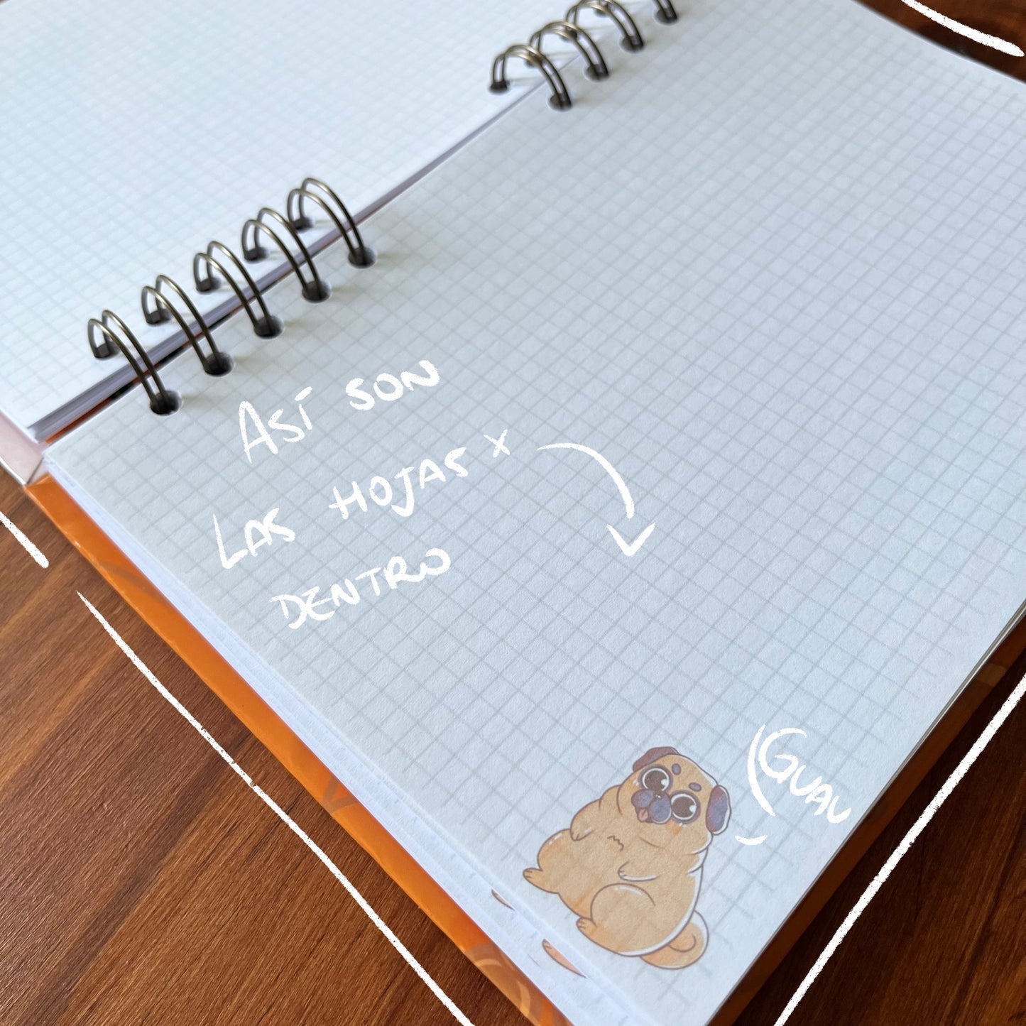 Pug Lover Kit 🐶✨